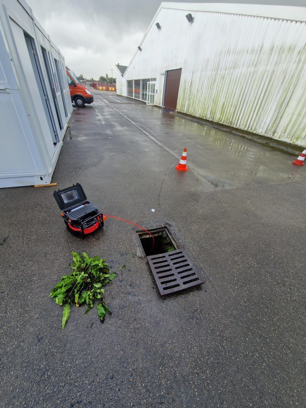 Racines extraites d'une canalisation après curage haute pression à La Bassée