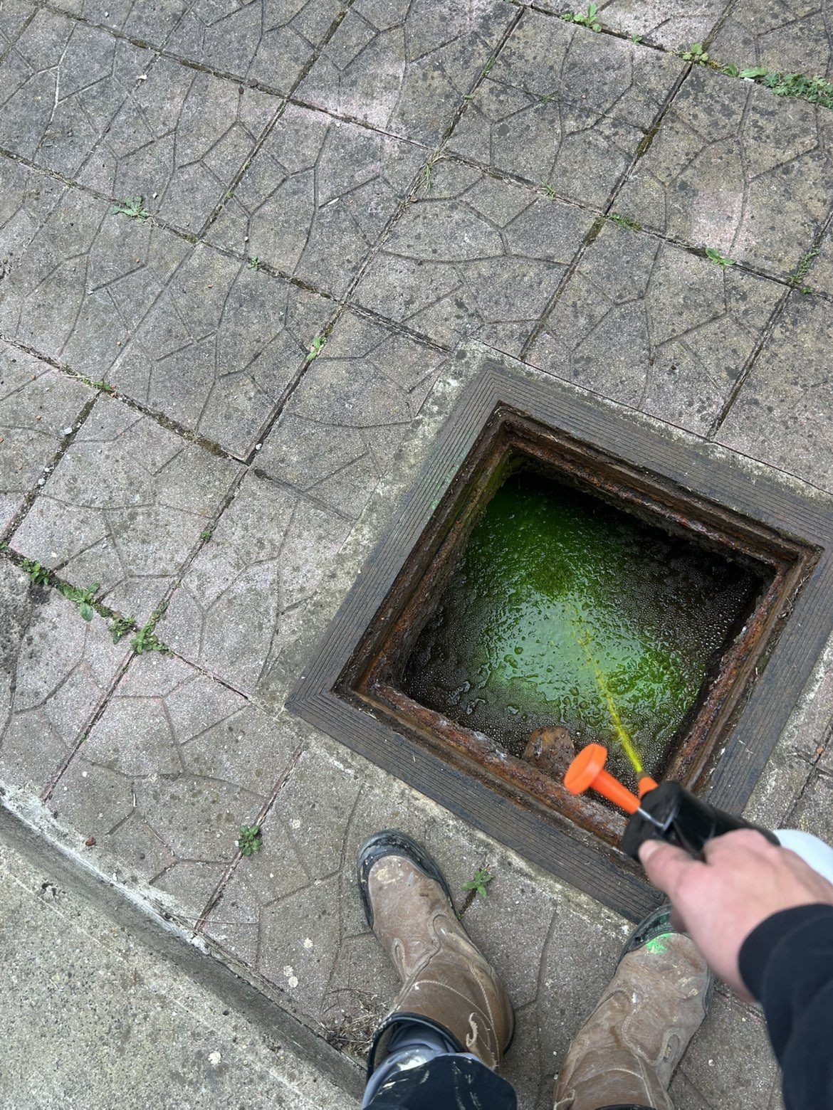 Débouchage d'un regard de canalisation extérieur par votre déboucheur La Bassée