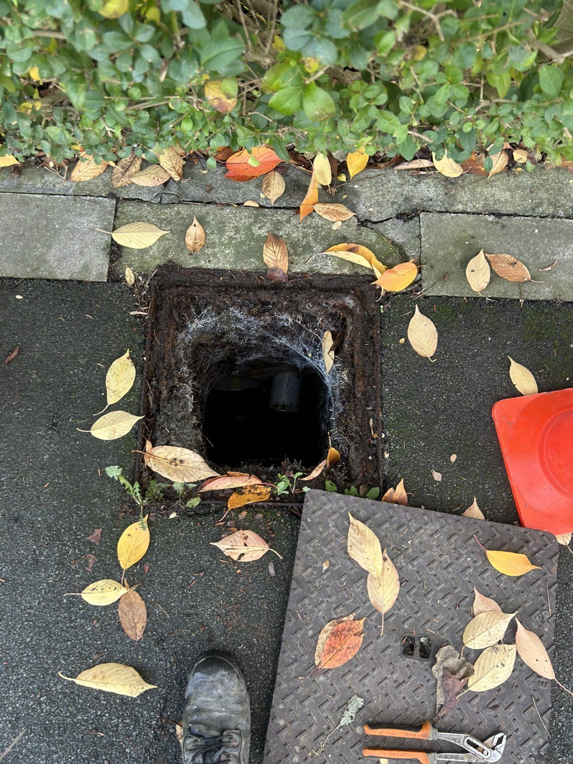 Regard de jardin obstrué par les feuilles avant débouchage à La Bassée